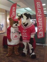 Good neighbear and chic fil a cow