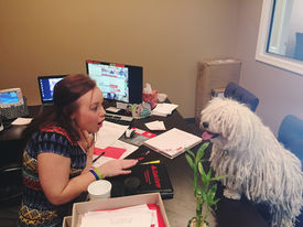 Pippa at work