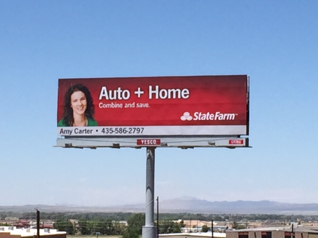 Amy Carter - State Farm Agent