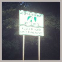 Adopt a highway
