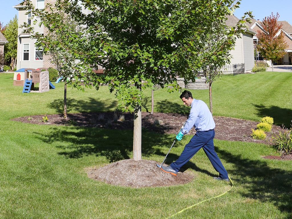technician working on tree